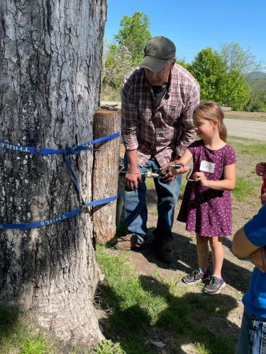 A young girl uses an auger to create a hole in a piece of wood attached to a tree