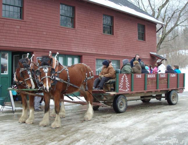   Work horses, waiting to pull a wagon of visitors during the 2011 maple program at The Rocks, stand ready outside the 115-year-old Tool Building.