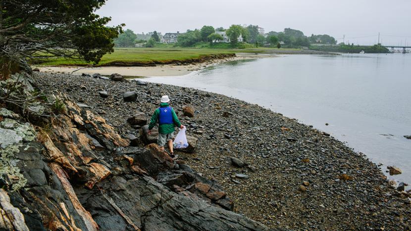 A volunteer explores one of the islands at the mouth of Sagamore Creek