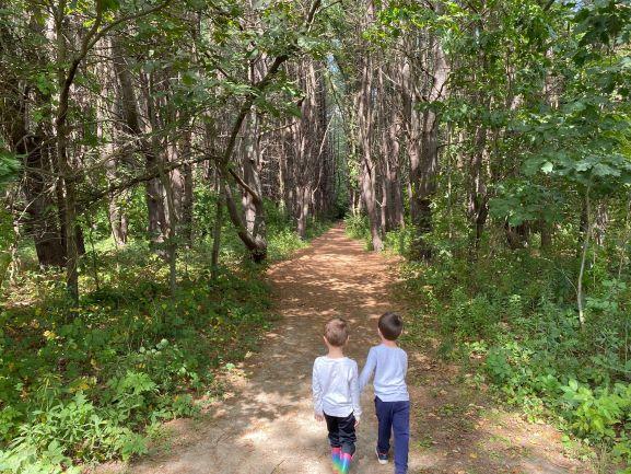 Two young boys walk through the pine forest.