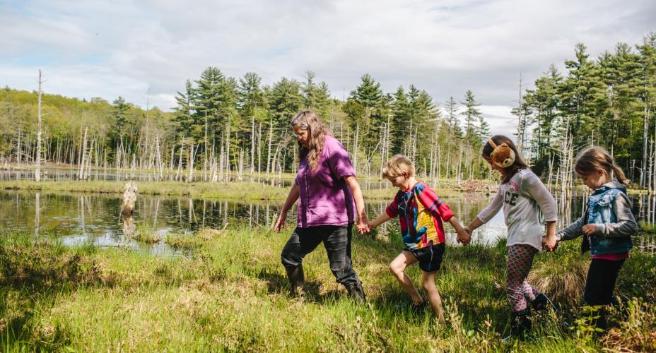 A family outing group explores sphagnum moss at a ponding event in New Durham NH