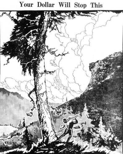 The text reads "Your Dollar Will Stop This" on an illustration of a man chopping a tree down near the Old Man in the Mountain.