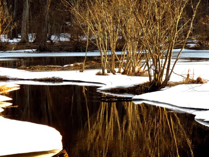 Melting snow and March light on the floodplain in Concord, New Hampshire