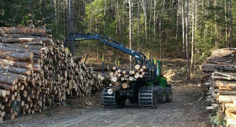 Timber harvest in progress moving logs