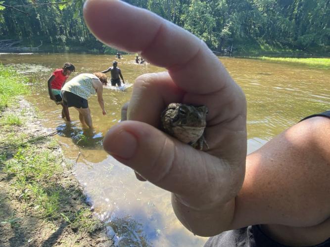 tiny toad in hand with students wading in background