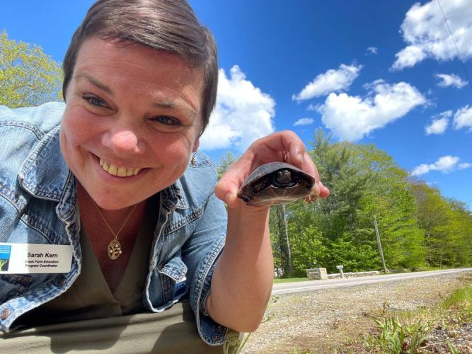 a smiling naturalist holds a spotted turtle moved from road