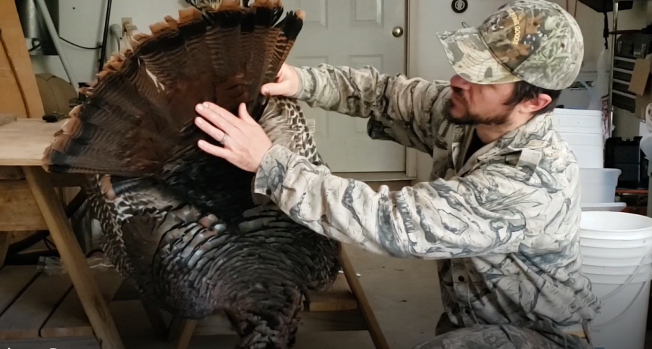 Steve Junkin explains characteristics of the eastern wild turkey by showing its feathers.