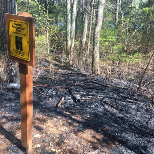 A habitat restoration sign stands near scorched trail.